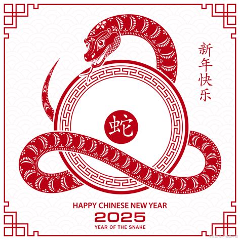 2025年 生肖|2025年生肖属什么？